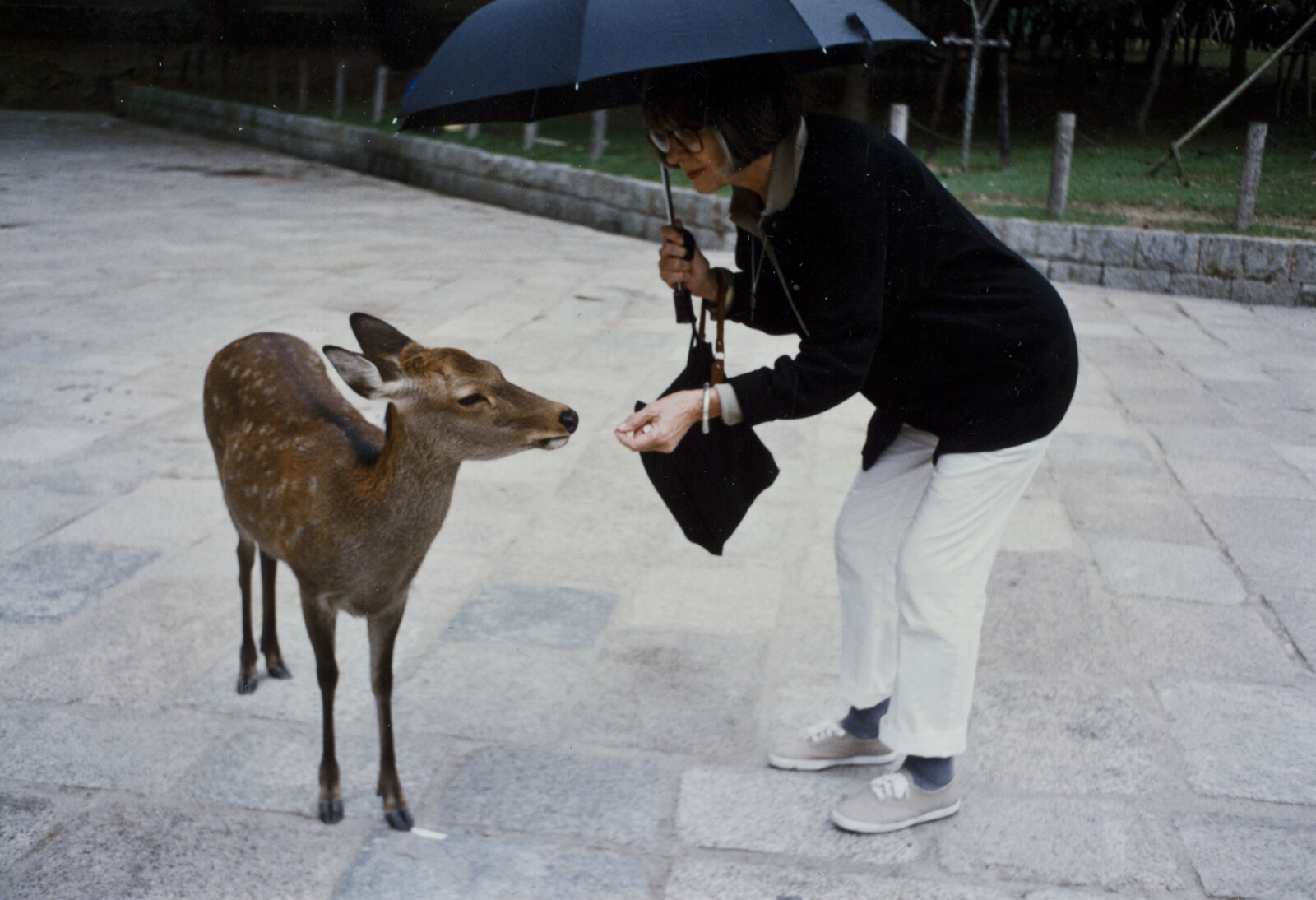 Travel Photographs from Japan