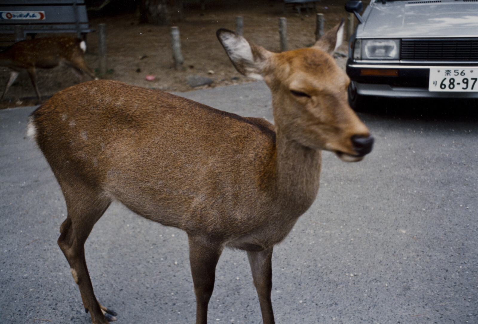 Travel Photographs from Japan