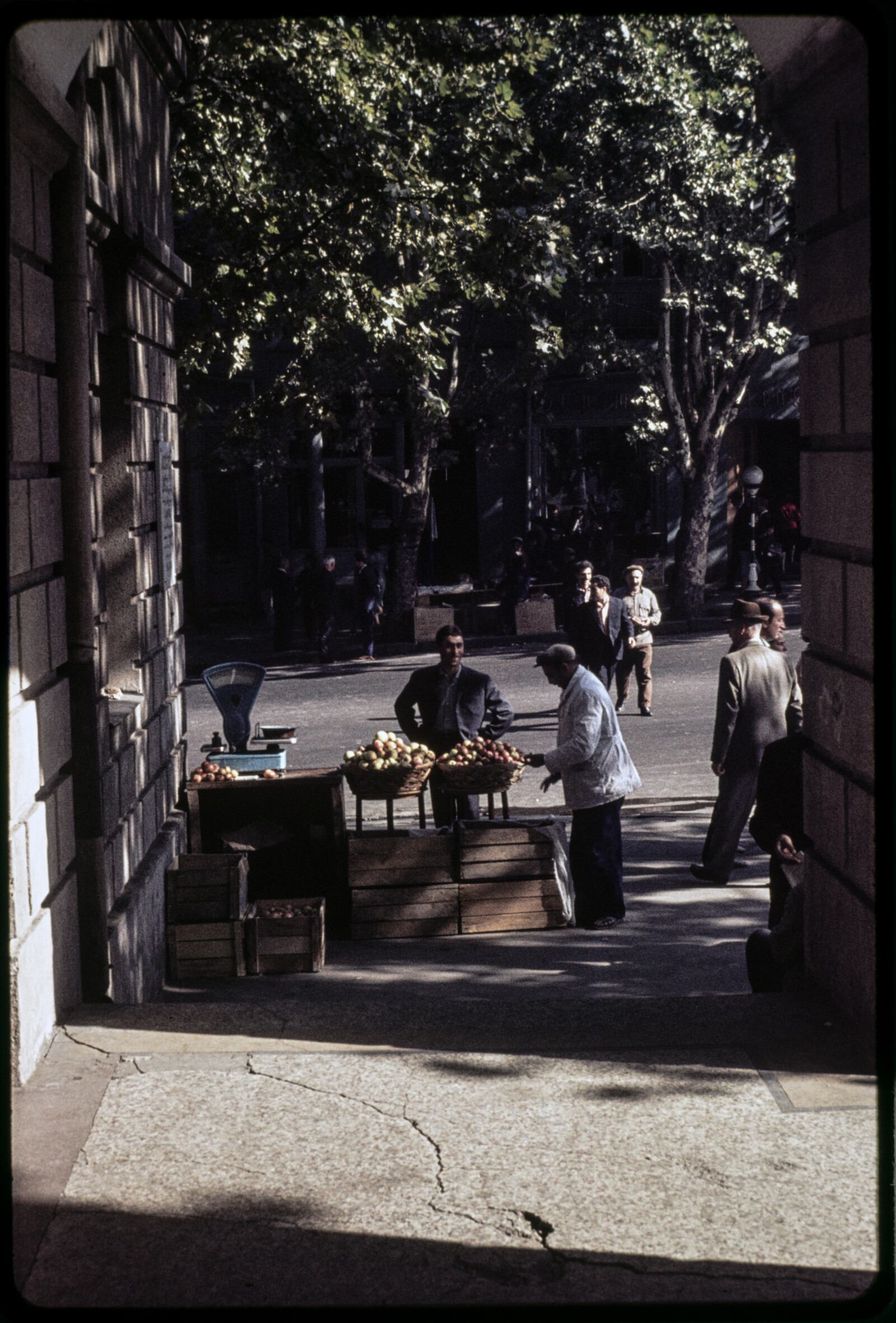 Travel Photographs from Europe and the Soviet Union [USSR]