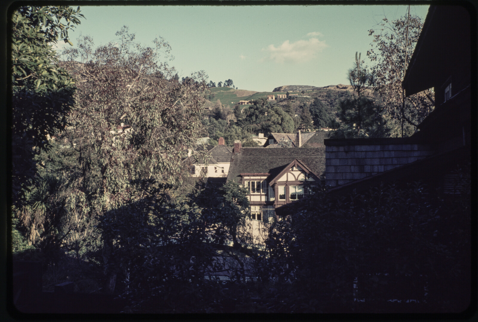 Family Photographs from Berkeley