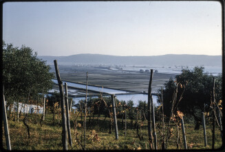 Travel Photographs from Europe and the Soviet Union [USSR]