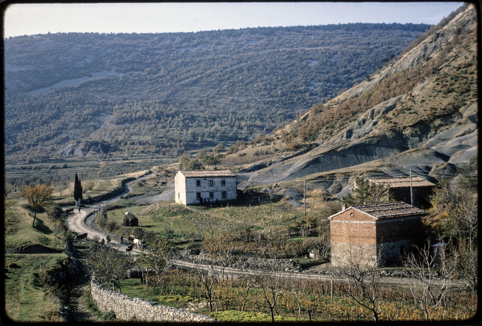 Travel Photographs from Europe and the Soviet Union [USSR]