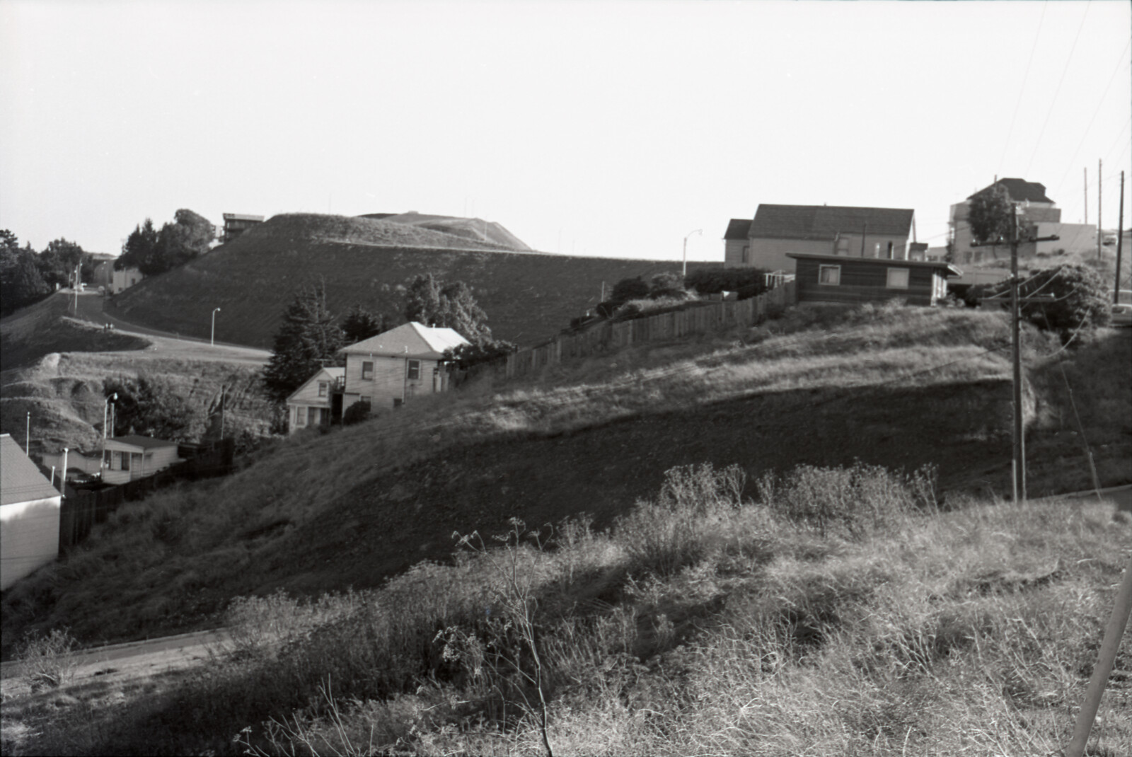 Negatives from San Francisco, 1963