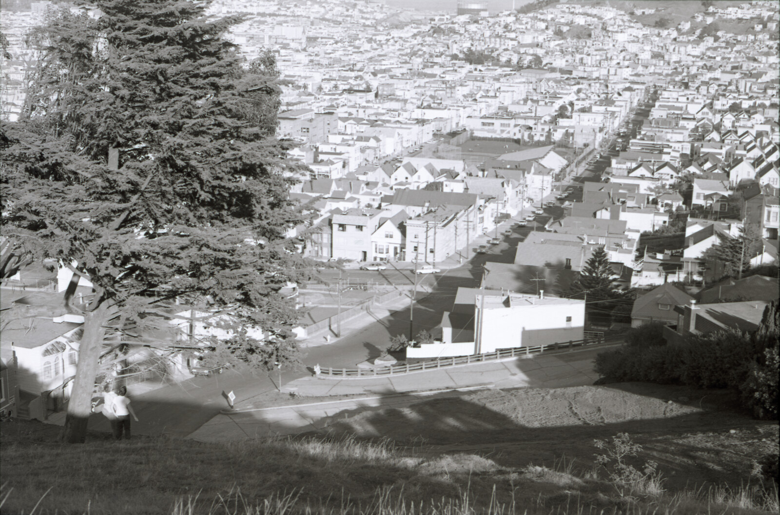 Negatives from San Francisco, 1963