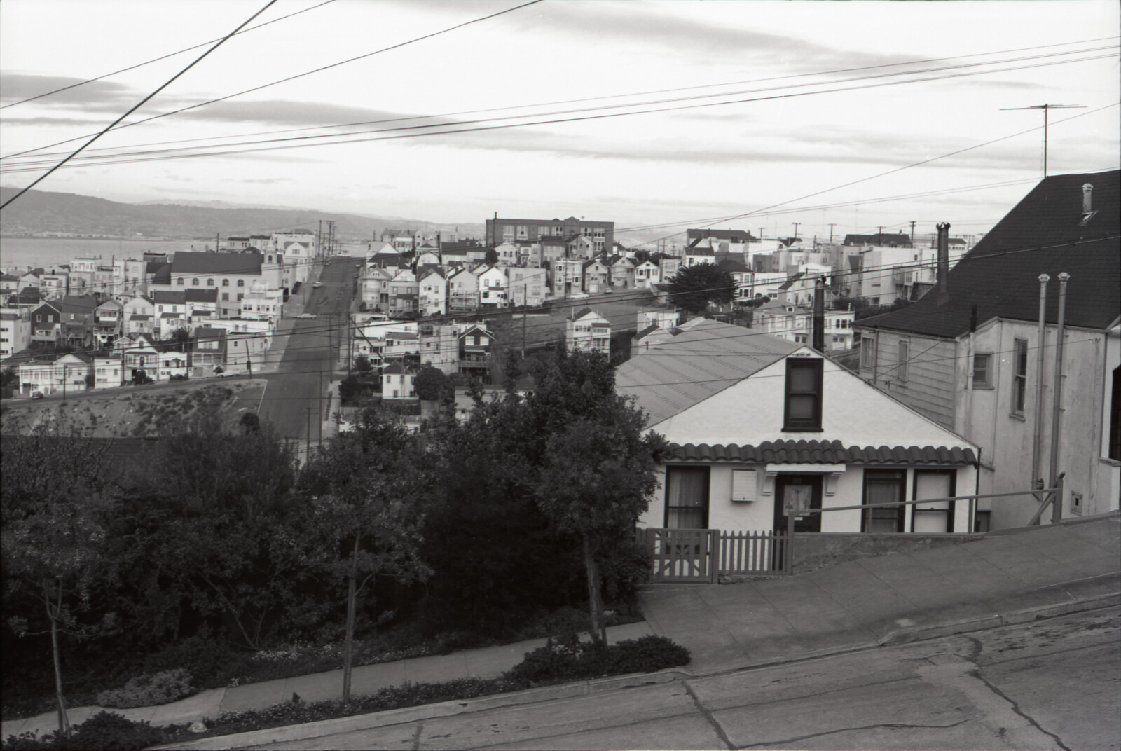 Negatives from San Francisco, 1963