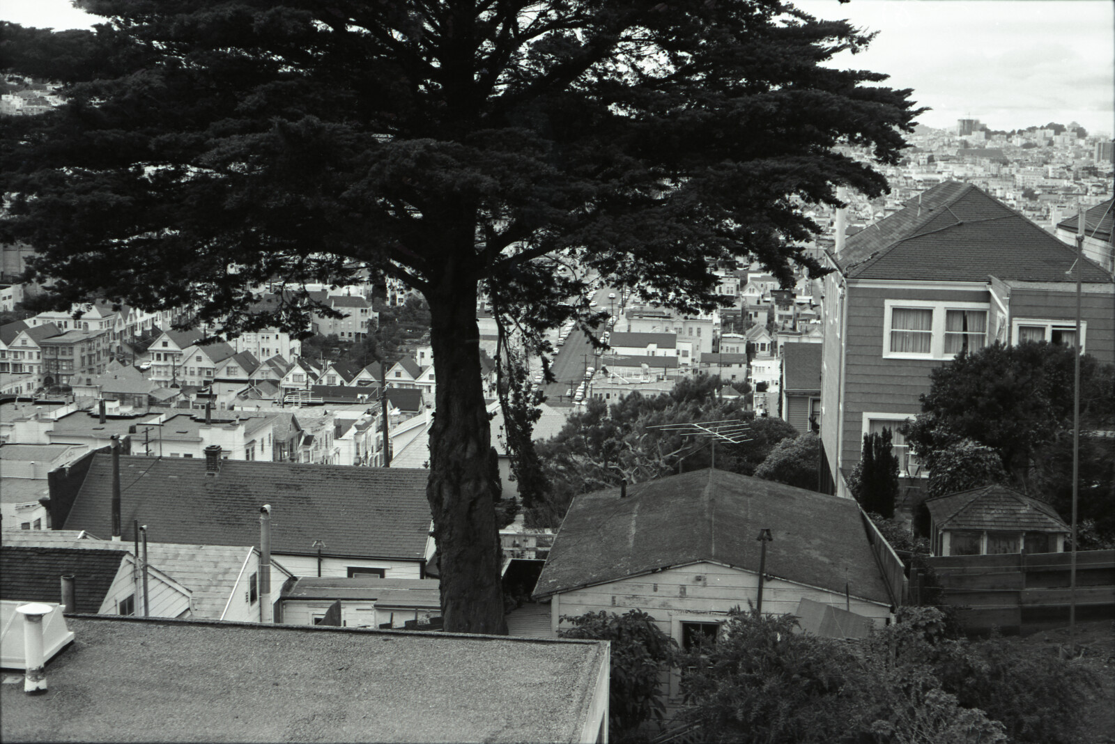 Negatives from San Francisco, 1963