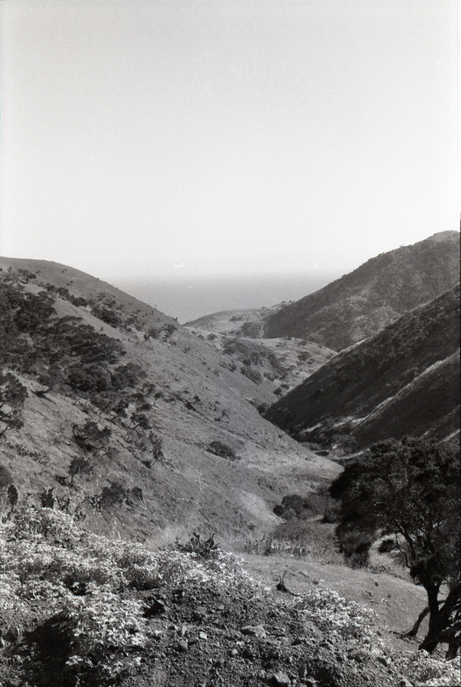 Negatives from San Francisco, 1963