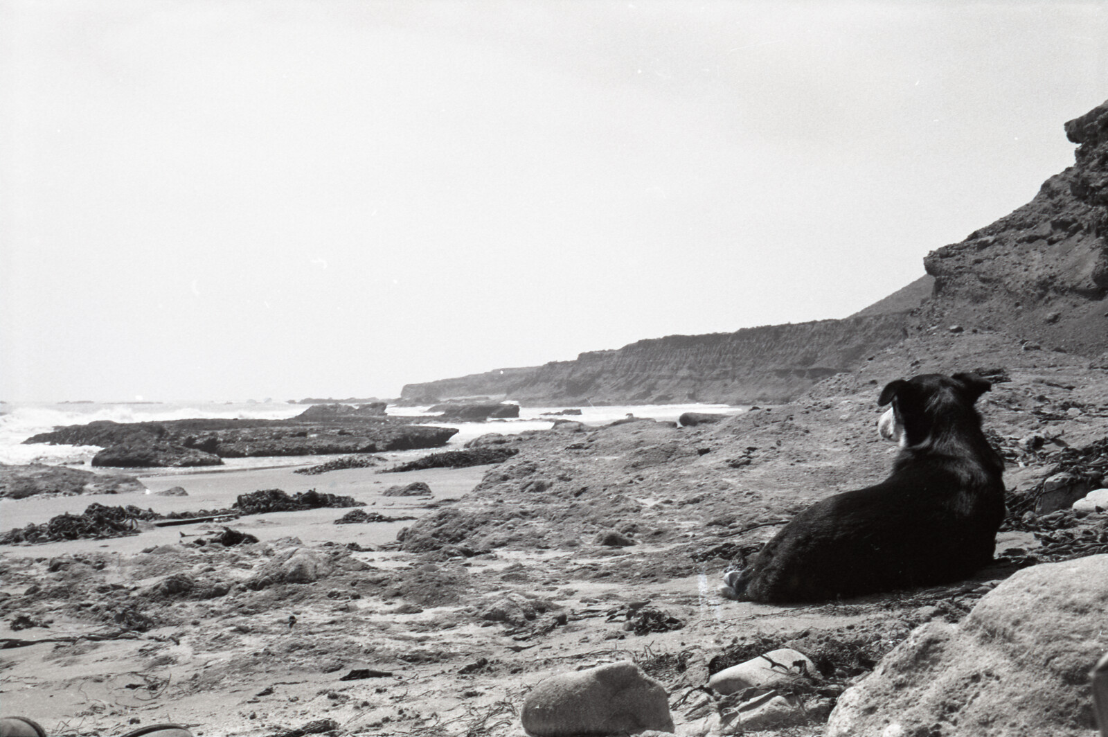 Negatives from San Francisco, 1963