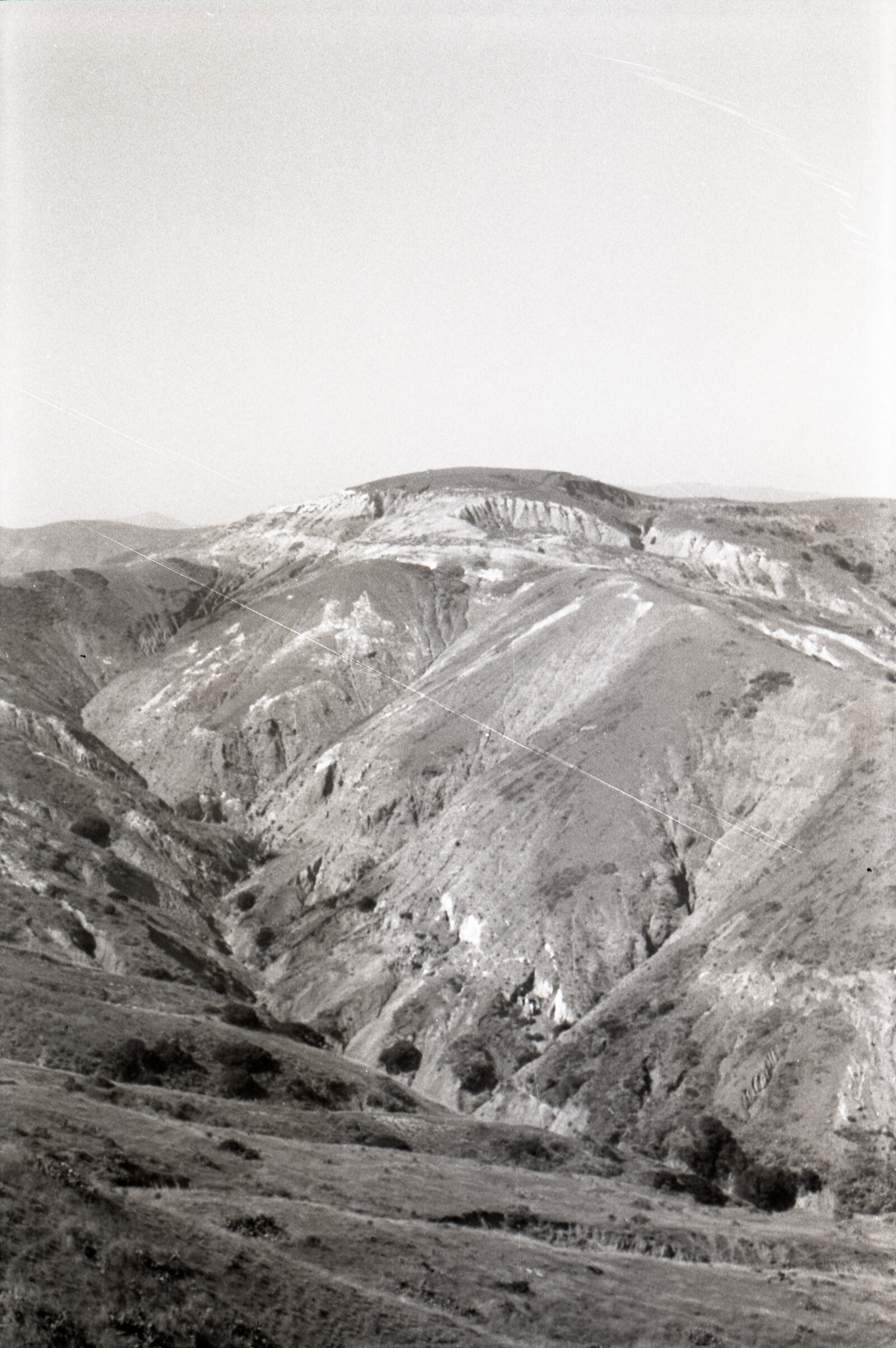 Negatives from San Francisco, 1963