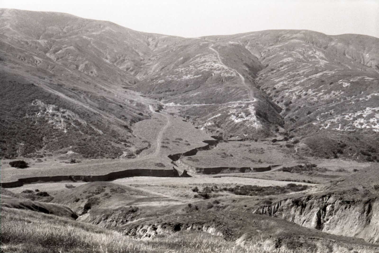 Negatives from San Francisco, 1963