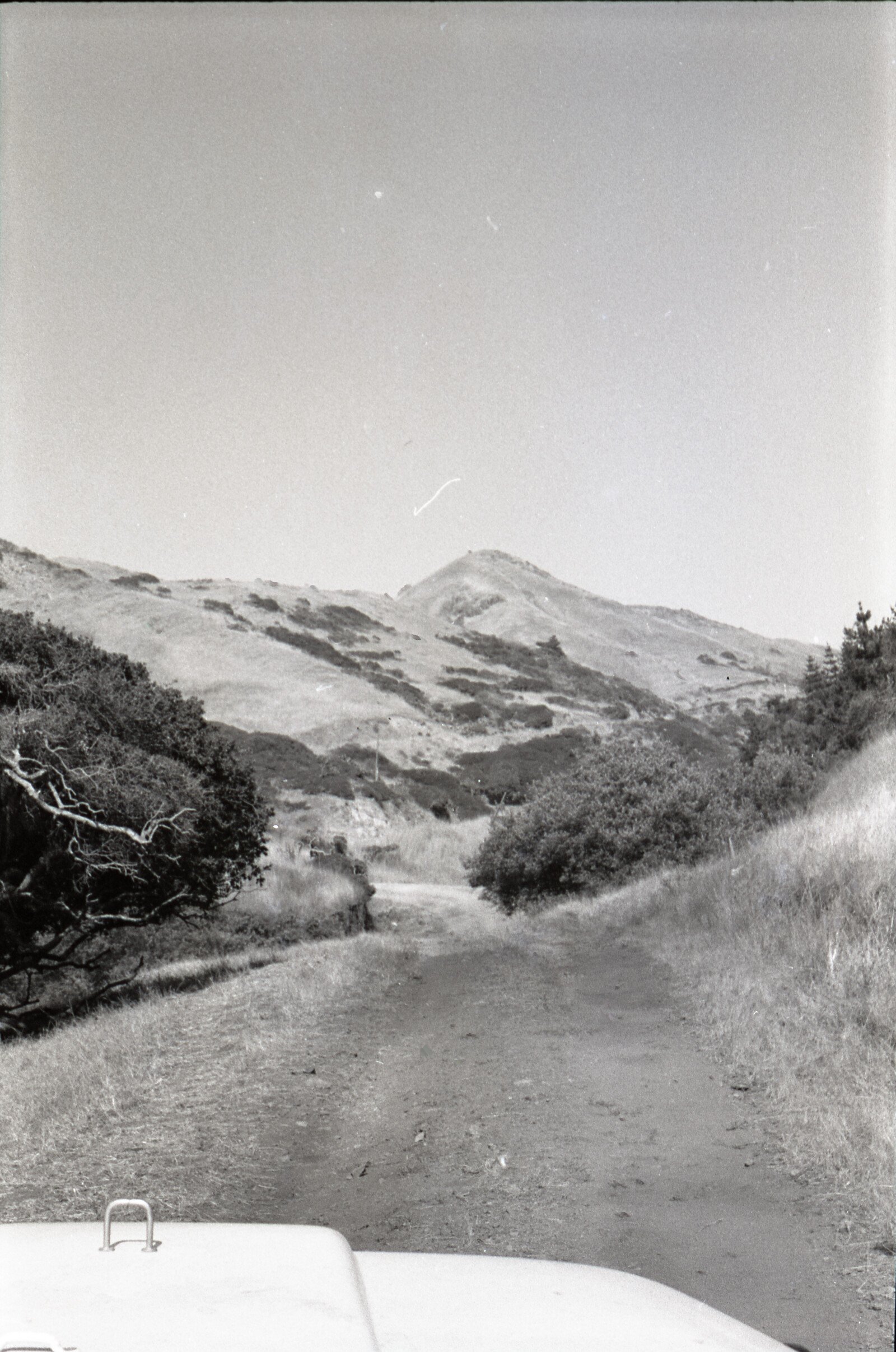 Negatives from San Francisco, 1963