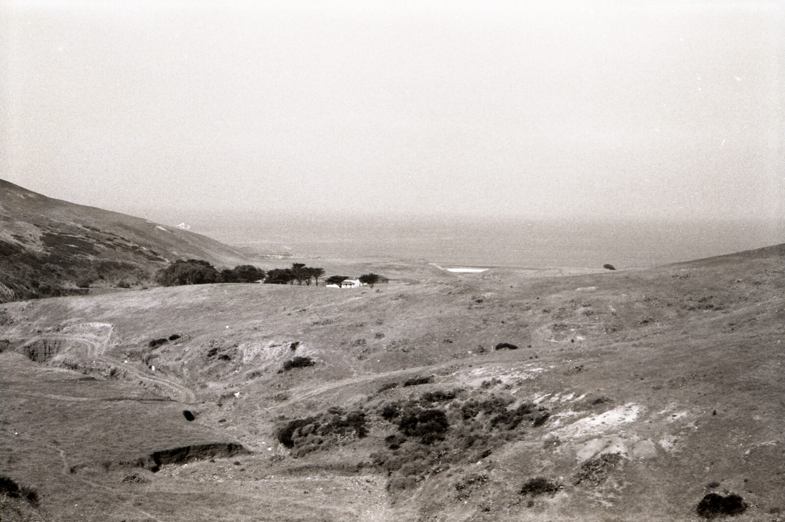 Negatives from San Francisco, 1963