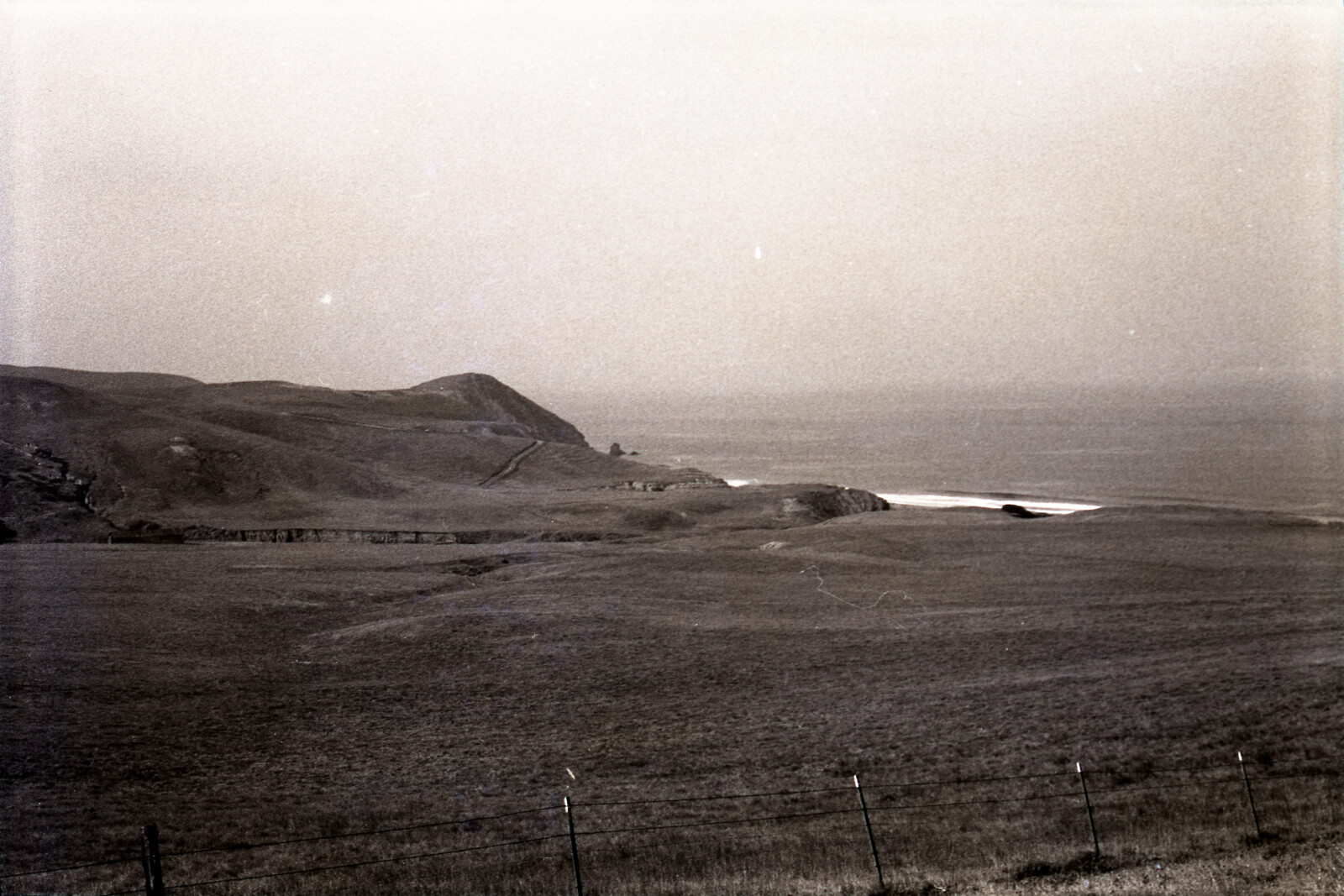 Negatives from San Francisco, 1963