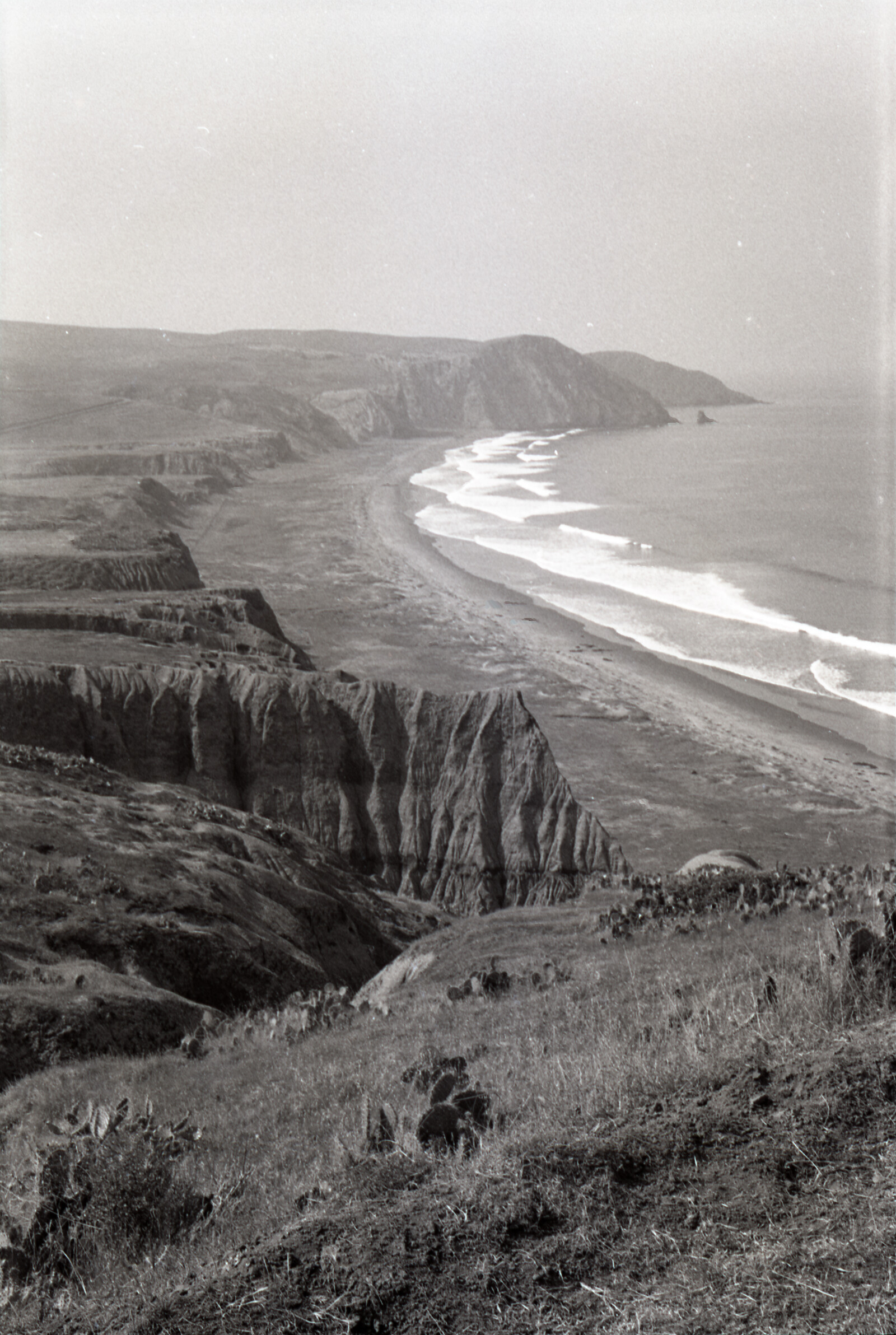 Negatives from San Francisco, 1963