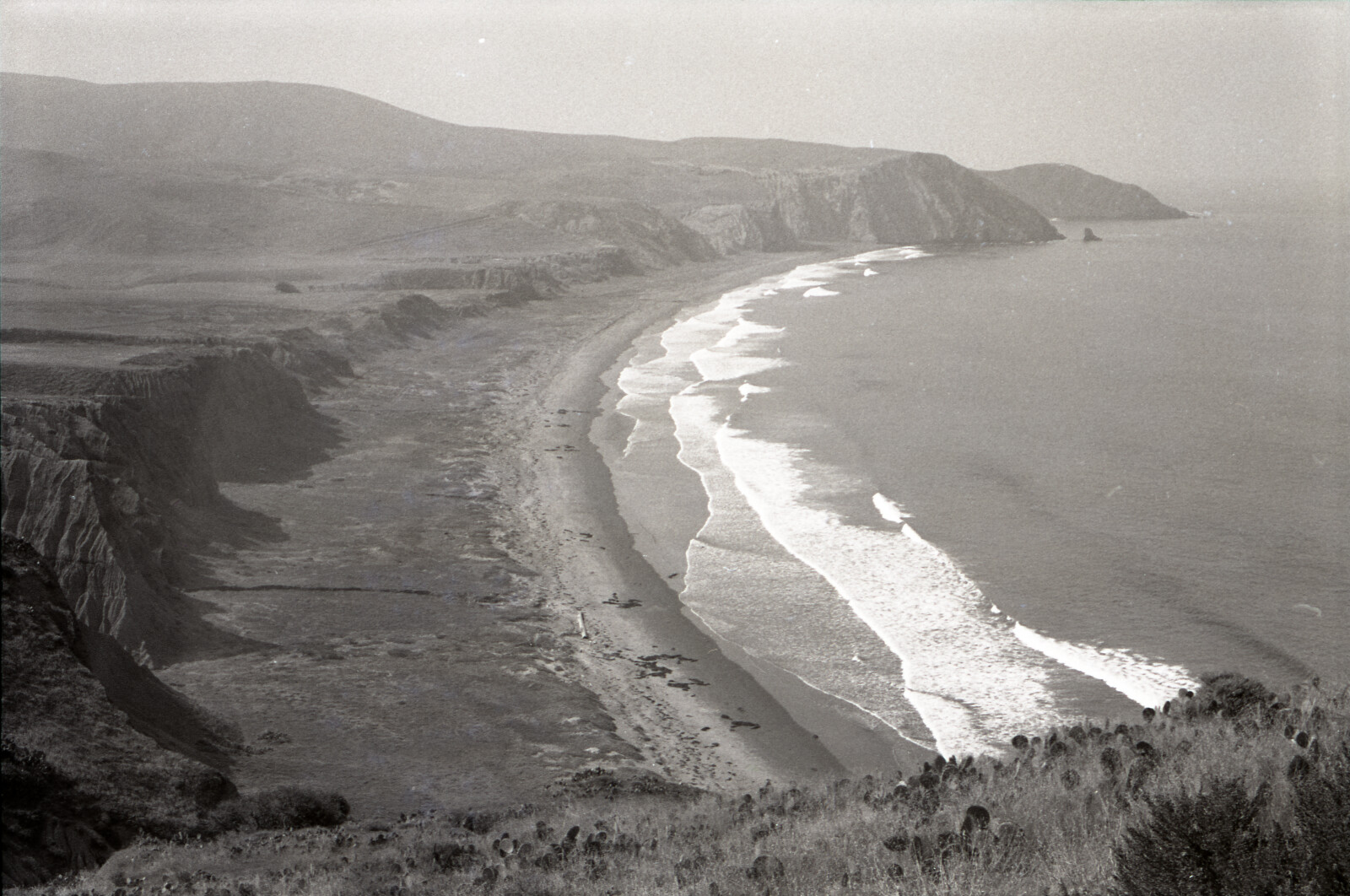 Negatives from San Francisco, 1963