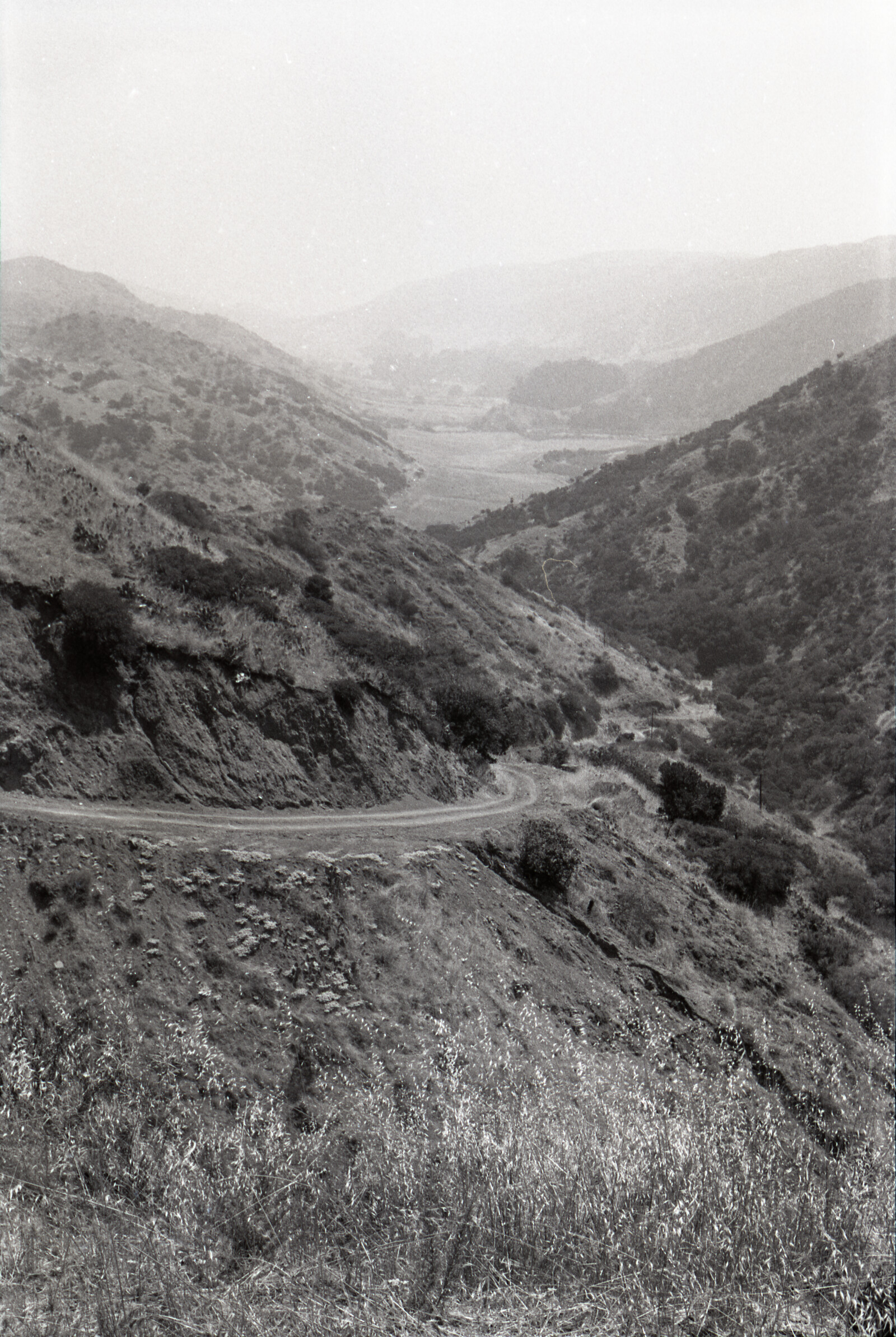 Negatives from San Francisco, 1963