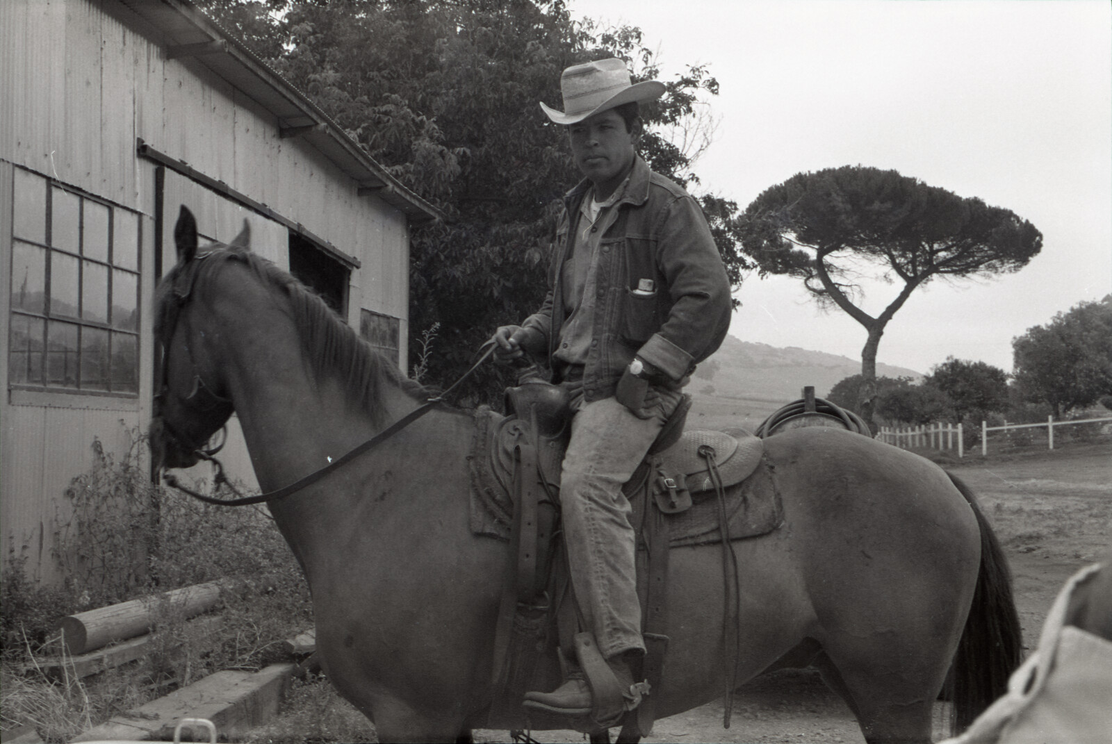 Negatives from San Francisco, 1963