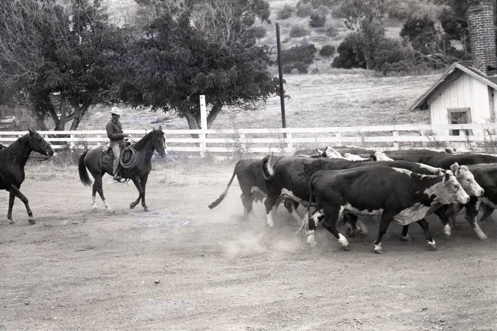 Negatives from San Francisco, 1963