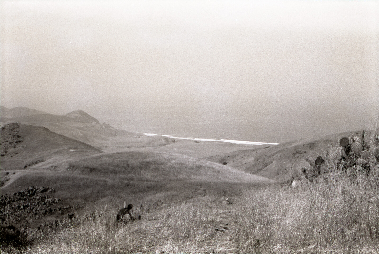 Negatives from San Francisco, 1963